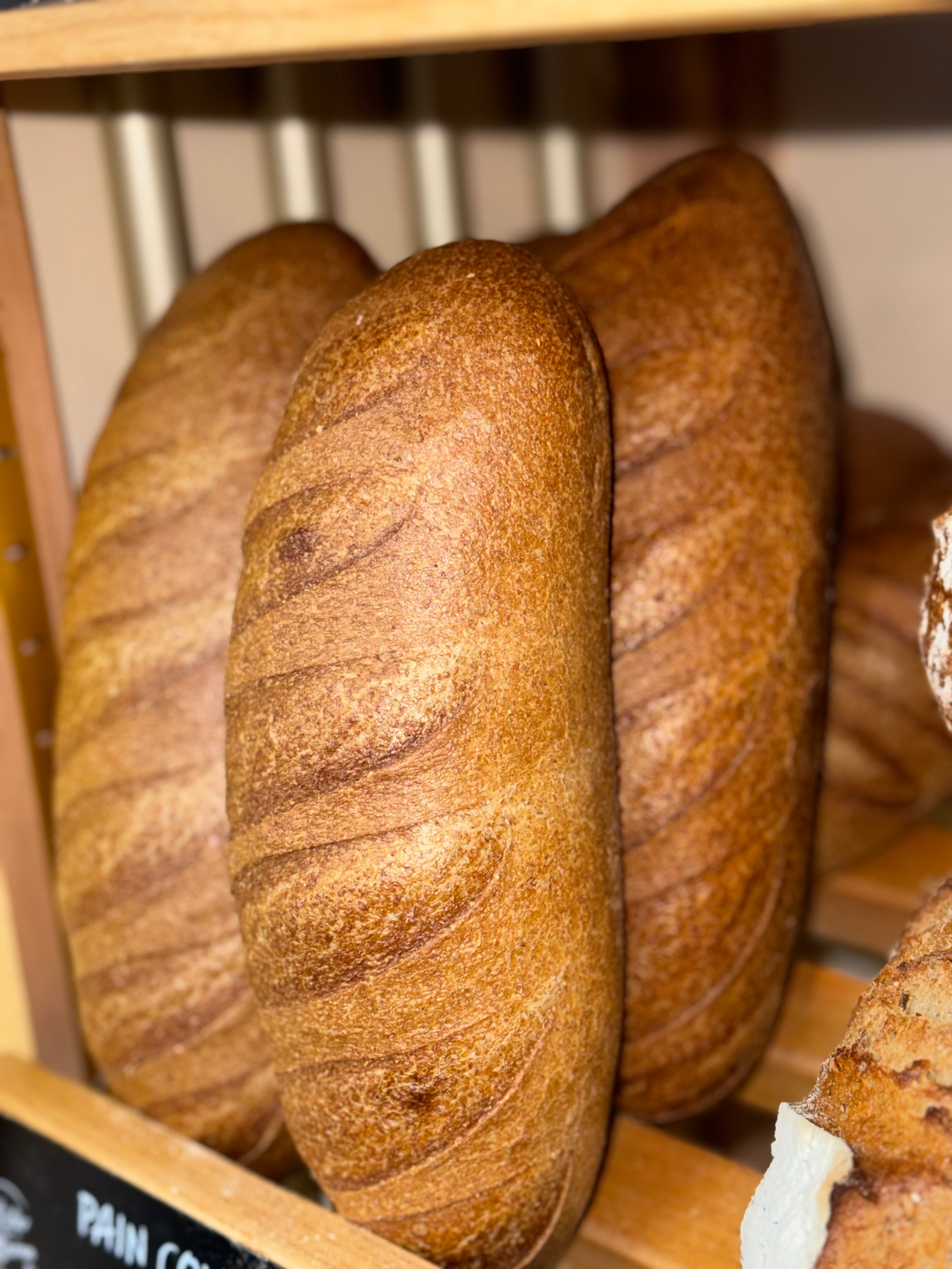 Pain Complet | L'atelier de Warren